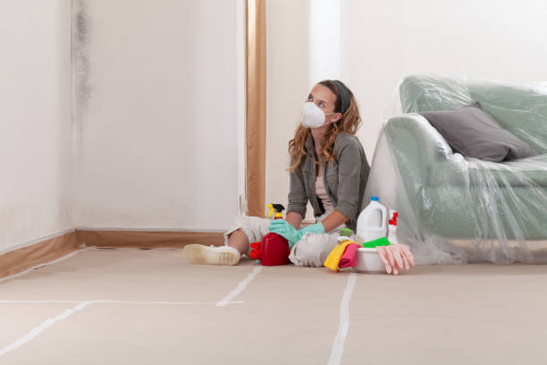 Reliable Mold Remediation contractor in New Park, PA by WQB Mold Removal